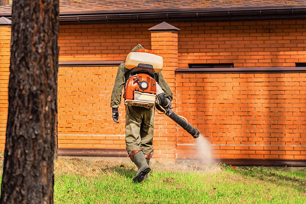 Trusted Ant Control service in Withamsville, OH - Nex Pest Control